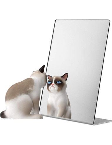 Espejo Acrílico de Mostrador Soportes de Marketing 8.5" x 11"