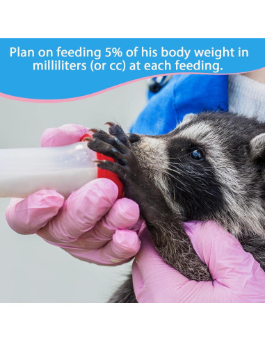 Fórmula de Leche para Raccoons Huérfanos Liovsiso 0.45 kg