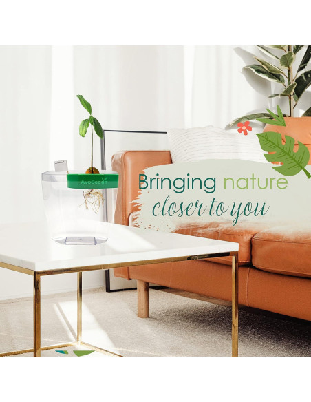 Kit de Cultivo de Aguacate AvoSeedo - Maceta Autorriego Verde