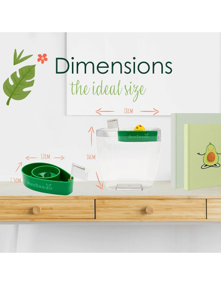 Kit de Cultivo de Aguacate AvoSeedo - Maceta Autorriego Verde
