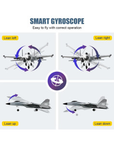 Avián RC F-22 QuirkyGlee 3 Canales con Giroscopio 2