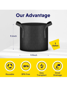 Bolsas de Cultivo iPower 10 Paquete 11.36L Tela No Tejida 2