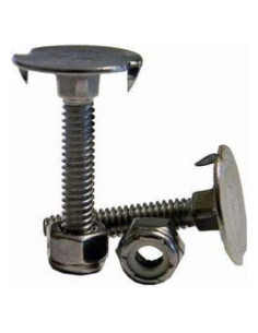 Pernos y Tuercas de Acero Inoxidable Restaurar - 100 Piezas