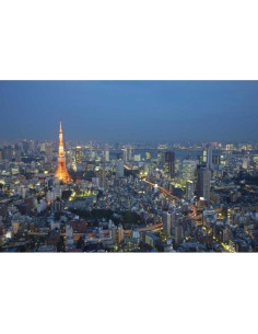 Póster Artístico Giclee Anon, Josh - Atardecer Tokio 60x40 cm 2