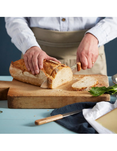 Conjunto de cuchillos de cocina Opinel Parallele 5 piezas acero