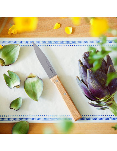 Conjunto de cuchillos de cocina Opinel Parallele 5 piezas acero