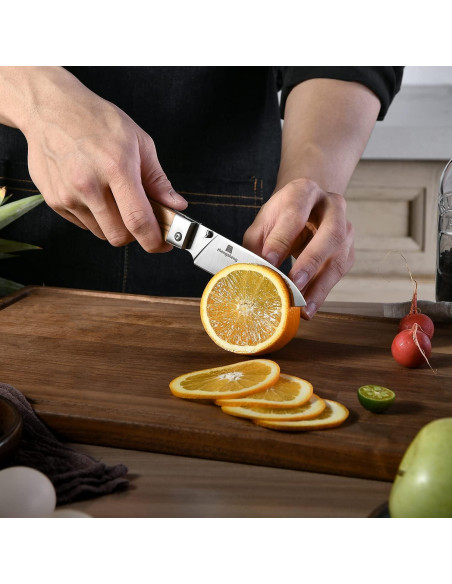 Cuchillo de cocina plegable ZhengSheng 11.43 cm acero inoxidable