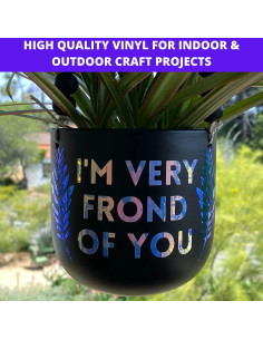 Paquete de 10 Hojas de Vinilo Holográfico Kassa 30.48 cm 2