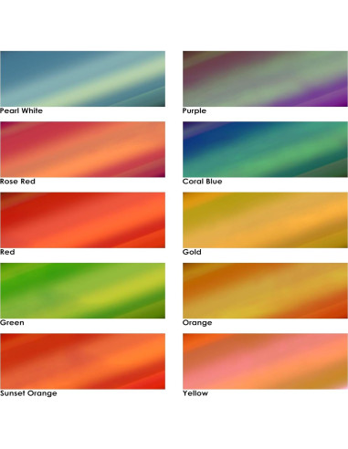 Paquete de 10 Hojas de Vinilo Holográfico Kassa 30.48 cm