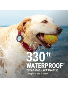 Soporte para Collar de Perro Catalyst AirTag Impermeable IP68 2
