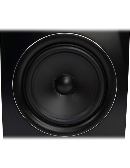 Altavoces de Estudio Rockville APM6 Bi-amplificados 350W