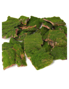 Corteza Artificial con Musgo BYHER - 100g para Manualidades