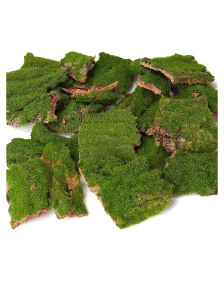 Corteza Artificial con Musgo BYHER - 100g para Manualidades