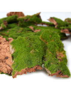 Corteza Artificial con Musgo BYHER - 100g para Manualidades 2