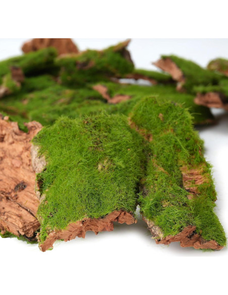 Corteza Artificial con Musgo BYHER - 100g para Manualidades