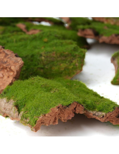 Corteza Artificial con Musgo BYHER - 100g para Manualidades