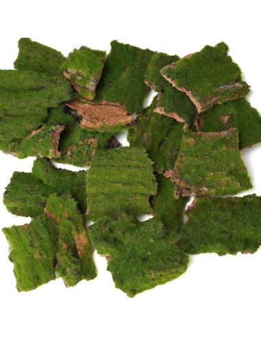 Corteza Artificial con Musgo BYHER - 100g para Manualidades