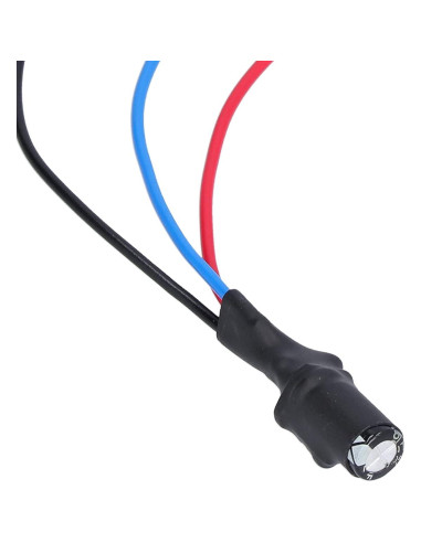 Cable Rectificador de Cámara de Reversa AMONIDA 12V para Autos Alemanes