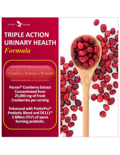 Suplemento Urinario Potent Garden 60 Caps - Arándano Probiotico 2