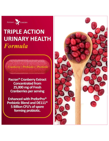 Suplemento Urinario Potent Garden 60 Caps - Arándano Probiotico
