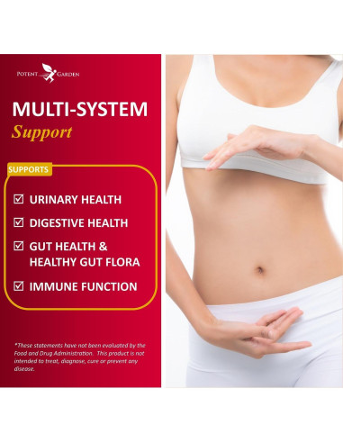 Suplemento Urinario Potent Garden 60 Caps - Arándano Probiotico