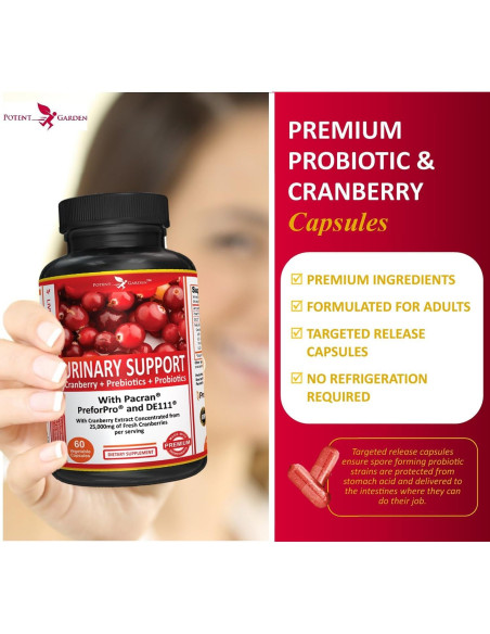 Suplemento Urinario Potent Garden 60 Caps - Arándano Probiotico