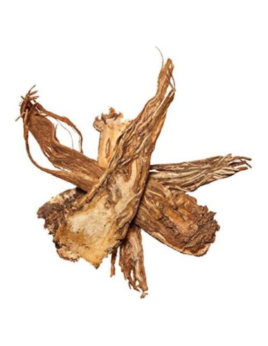 Raíz de Ángelica China Plum Dragon Herbs 28.35 g - Dong Quai