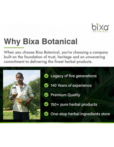 Polvo de Diente de León Amarillo Bixa Botanical 454g - Suplemento Herbal