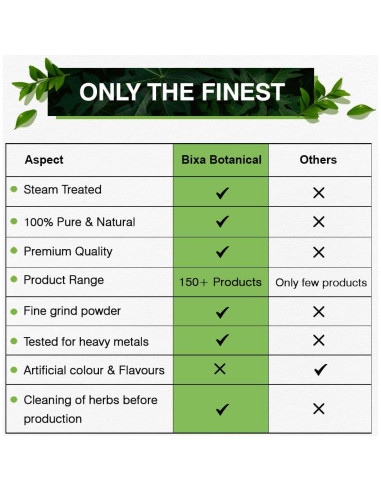 Polvo de Diente de León Amarillo Bixa Botanical 454g - Suplemento Herbal