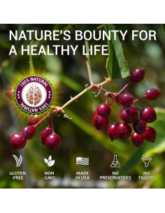 Extracto Líquido de Sarsaparilla Herbalicious 120ml - Sin Alcohol, Sin OGM 2