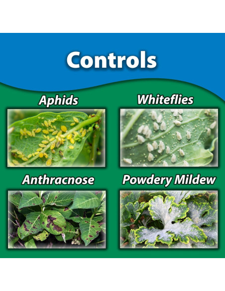 Monterey Aceite de Neem 70% 236.6ml - Insecticida y Fungicida