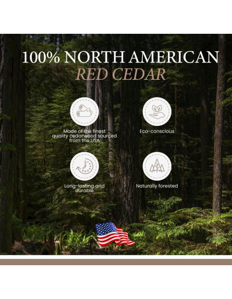 Zapato de árbol de cedro Sir Alton Rochester para hombres 8W-10M