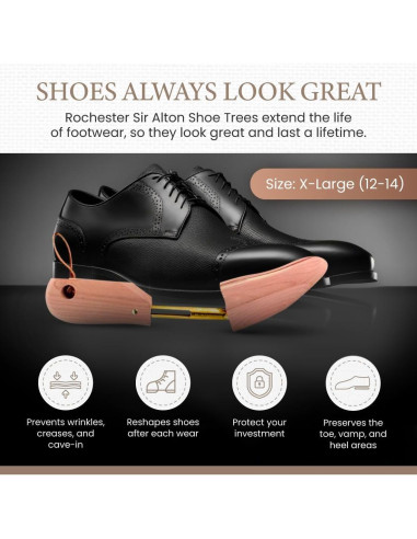 Zapato de árbol de cedro Sir Alton Rochester para hombres 8W-10M