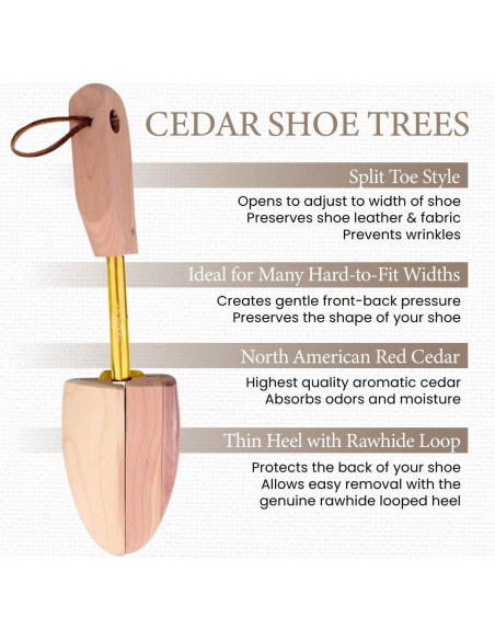 Zapato de árbol de cedro Sir Alton Rochester para hombres 8W-10M