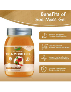 Gel Crudo de Musgo Marino Irlandés QANLOI 525 g Manzana Canela 2