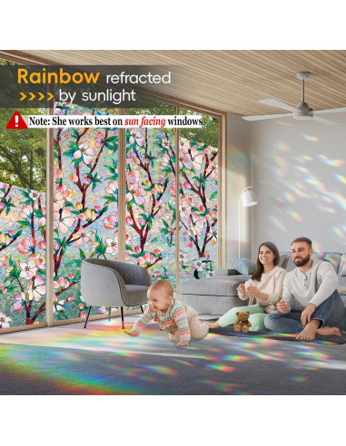 Película de Privacidad para Ventanas Dwersty 90x200 cm Arcoíris