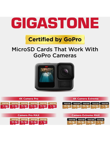 GIGASTONE Micro SD 256GB + Lector USB Tipo C 4K UHD
