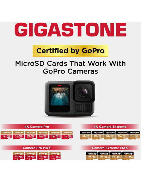 GIGASTONE Micro SD 256GB + Lector USB Tipo C 4K UHD