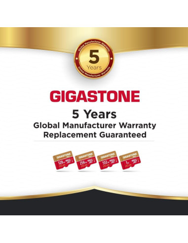 GIGASTONE Micro SD 256GB + Lector USB Tipo C 4K UHD