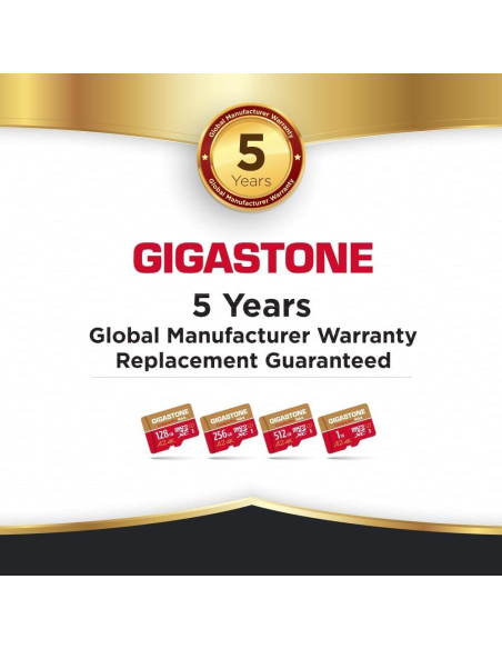 GIGASTONE Micro SD 256GB + Lector USB Tipo C 4K UHD