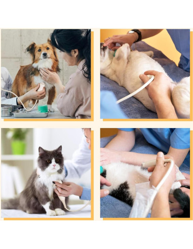 Escáner veterinario portátil DVK Sonda Convexa Micro 5.6" LED