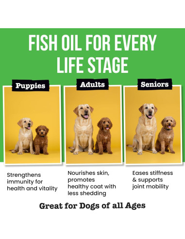 Aceite de Pescado Omega 3 Pawsential 236 ml para Perros y Gatos