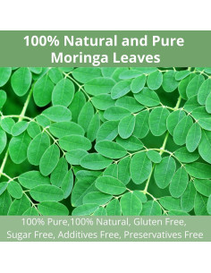 60 Bolsitas de Té de Moringa Natural VitalForest - Sin Cafeína 2