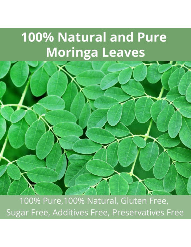 60 Bolsitas de Té de Moringa Natural VitalForest - Sin Cafeína