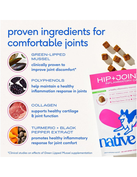 Suplemento Articular para Perros Native Pet - Alivio Natural del Dolor - 120 Masticables