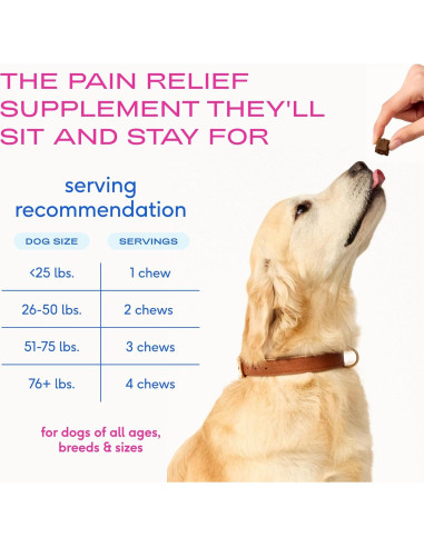 Suplemento Articular para Perros Native Pet - Alivio Natural del Dolor - 120 Masticables