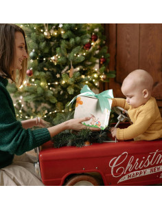 Juguete de Clasificación de Zanahoria NCVI para Bebés 6+ Meses 2