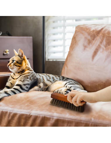 Cepillo para zapatos Zanzike 3 piezas crin de caballo y paño