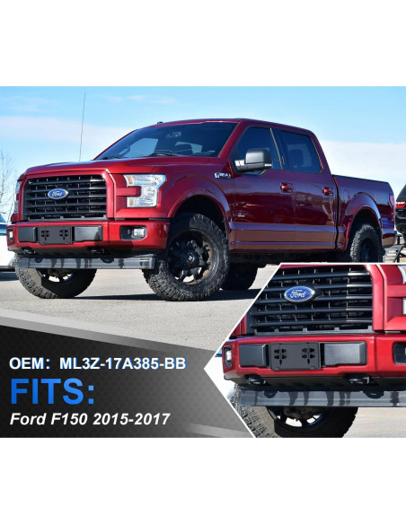 Marco de Placa de Licencia Frontal GZSH para F150 2015-2017