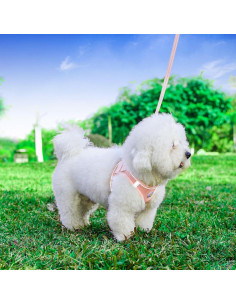 Conjunto Arnés y Correa para Perros Hipubby Rosa XXS 2